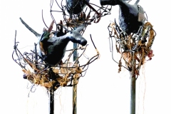 KIM BOULUKOS, Bird dog nesting ground, 2010-2019