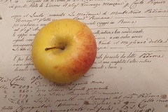 20201011_080515