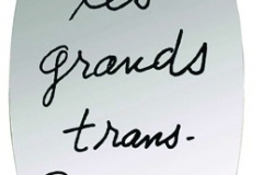 SIMON GAVINA, Miroir Les Grands Trans-Parents
