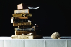 LUIGI GATTINARA, Conoscenza, 2009.
