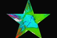DAMIEN HIRST, Star, 2009.