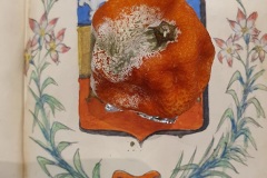 STGM8